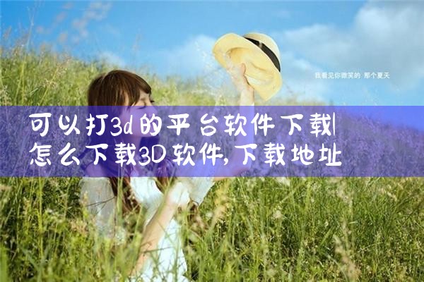 可以打3d的平台软件下载|杏吧