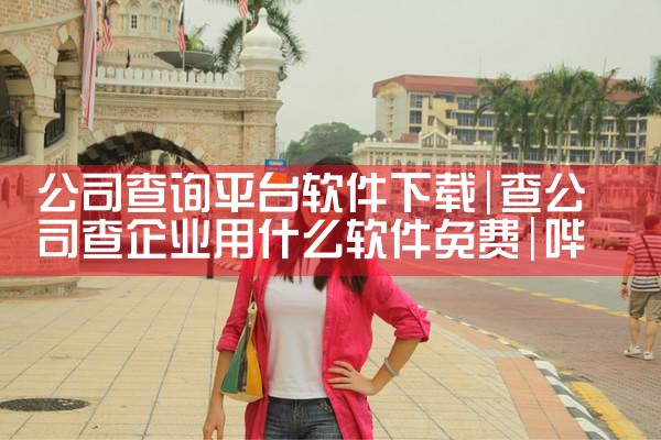 公司查询平台软件下载|哔咔漫画