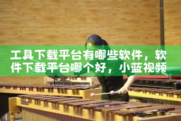 工具下载平台有哪些软件|小蓝视频