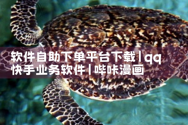 软件自助下单平台下载|哔咔漫画