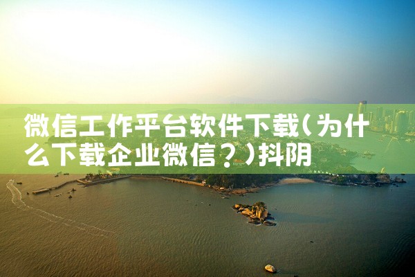 微信工作平台软件下载|抖阴